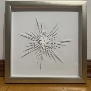 Estrella blanca — Constanza Coo