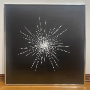Estrella negra — Constanza Coo