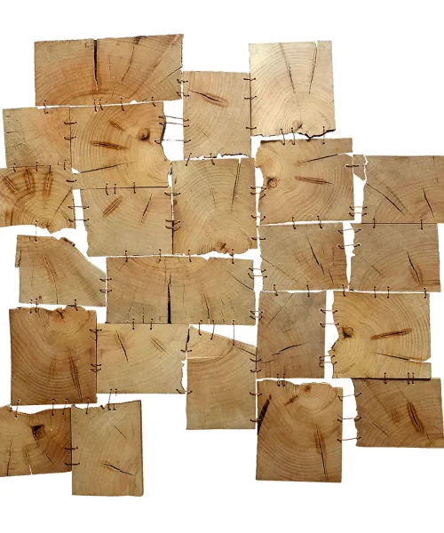 Roble 13 — Pauline Cristi